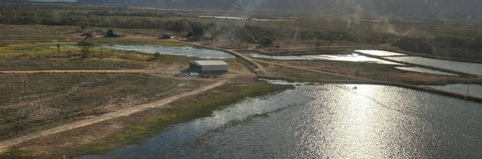 >Tocantins: quando a água vira produção Tocantins: quando a água vira produção