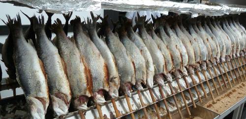 Noruega bate recorde de exportações de frutos do mar em 2021