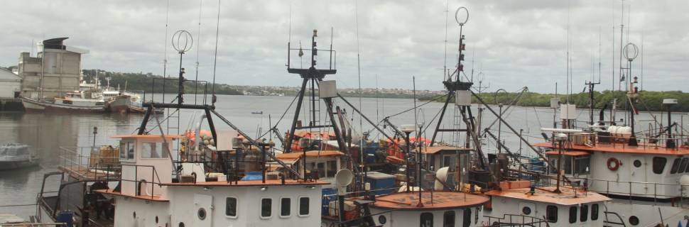 “Projeto Parceiros” em busca da sustentabilidade na pesca de atum