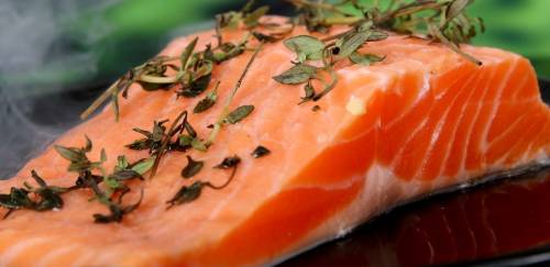 A indústria do salmão nunca viu preços tão baixos no Brasil 