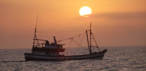 Mudanças climáticas: como a pesca está sendo afetada 