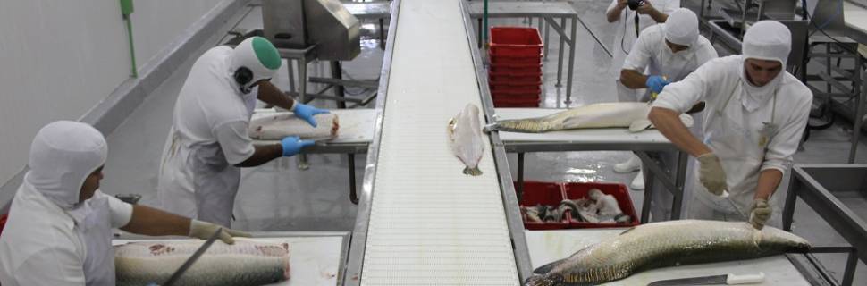 Plano Safra 20/21 deixa de fora armadores e indústria da pesca