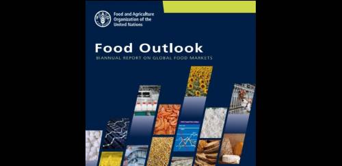 Relatório da FAO aponta queda no consumo de proteína animal 