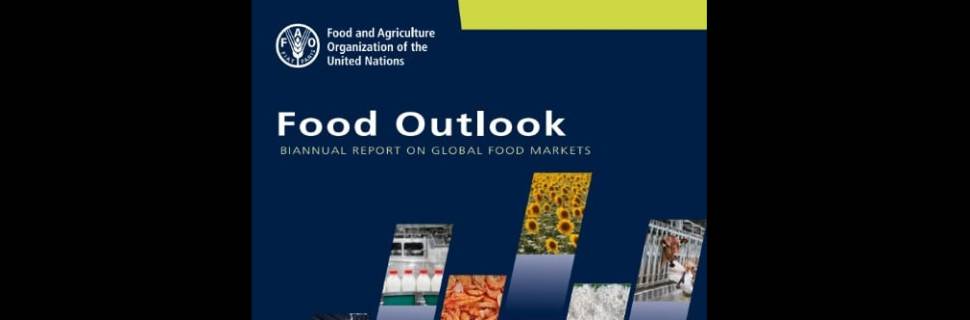 Relatório da FAO aponta queda no consumo de proteína animal 