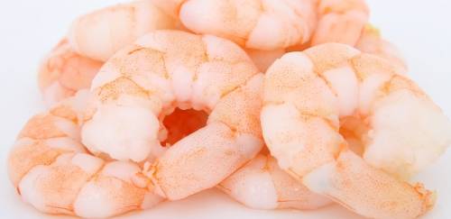 Tratamento pode aumentar vida de prateleira do camarão processado